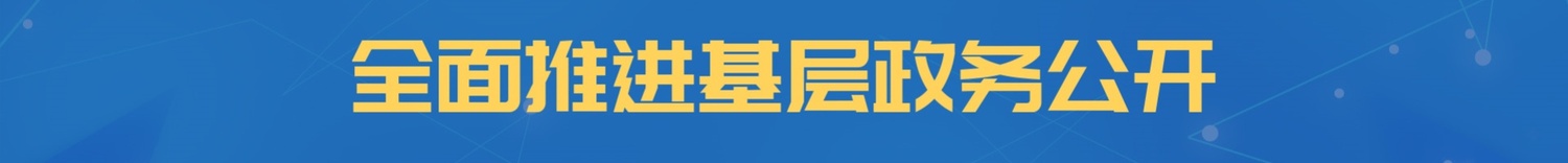 全面推进基层政务公开
